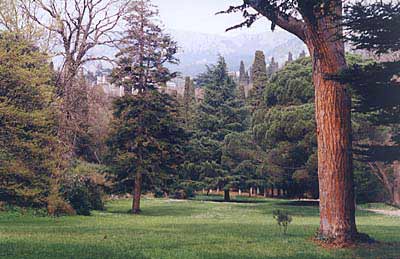 Nikitskiy botanical garden