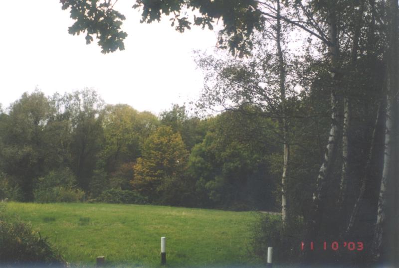 Delftse Hout, park near Delft. 11.10.2003.